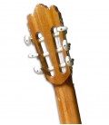 Foto a 3/4 da guitarra clássica Alhambra 3C E1