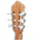 Foto frontal  da Guitarra Clássica Alhambra 5P