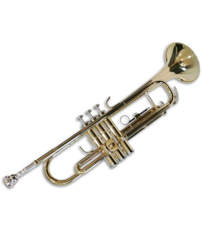 Foto do trompete Sullivan TT100
