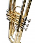 Foto detalhe dos pist探es do trompete Sullivan TT100