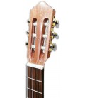 Foto da cabeça da Guitarra Clássica APC 3C