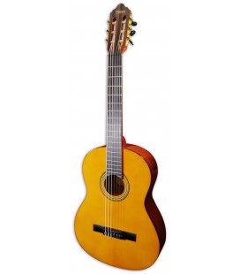 Foto da guitarra clássica Valencia modelo VC264 natural
