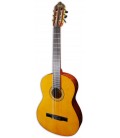 Guitarra Clássica Valencia VC264 Natural