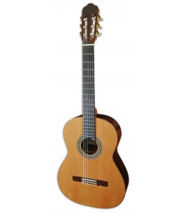 Foto da guitarra cl叩ssica Raimundo modelo 128 com tampo em cedro, fundo e ilhargas em pau santo