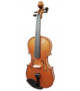 Violino Gliga modelo Gama II de tamanho 4/4