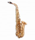 Saxofone Alto John Packer JP041 Mi Bemol Dourado com Estojo