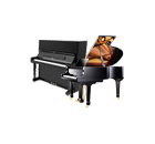 Pianos Acústicos